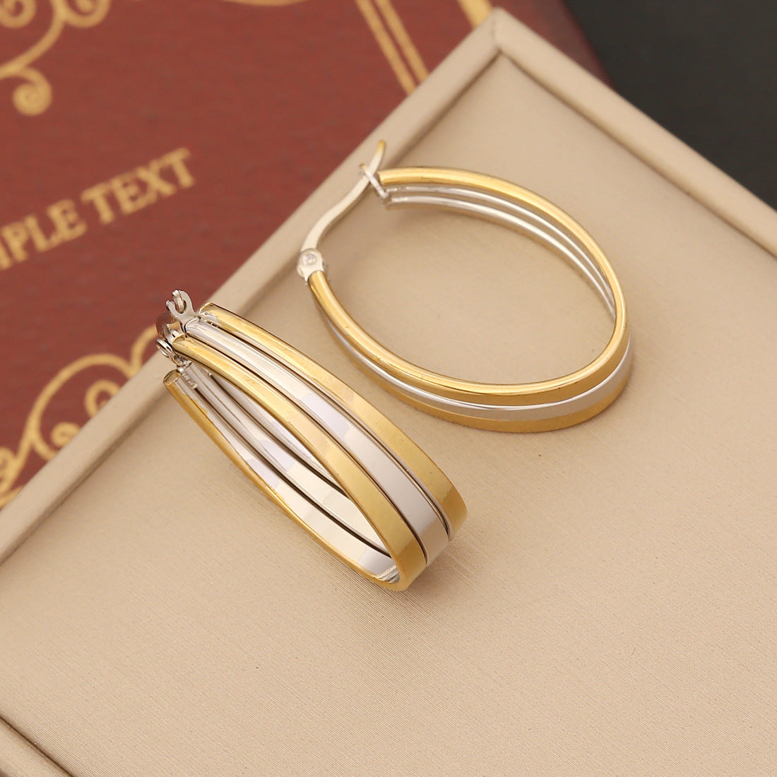 Stainless Steel Double Hoop Earrings