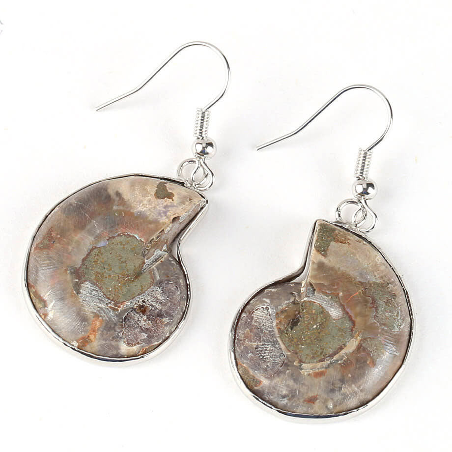 Fossil Conch Creative Beach Earrings