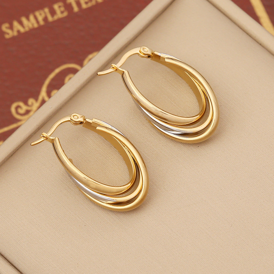 Stainless Steel Double Hoop Earrings