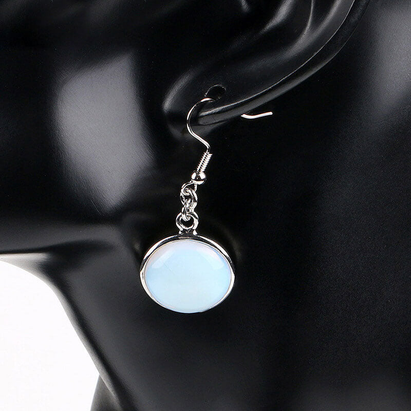 Simple Style Round Fishhook Earrings