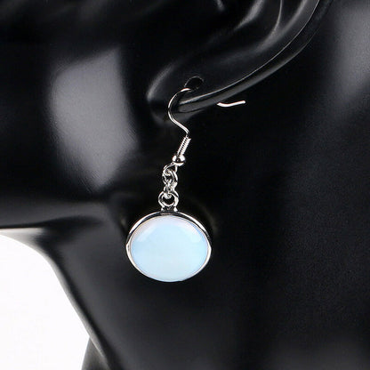 Simple Style Round Fishhook Earrings