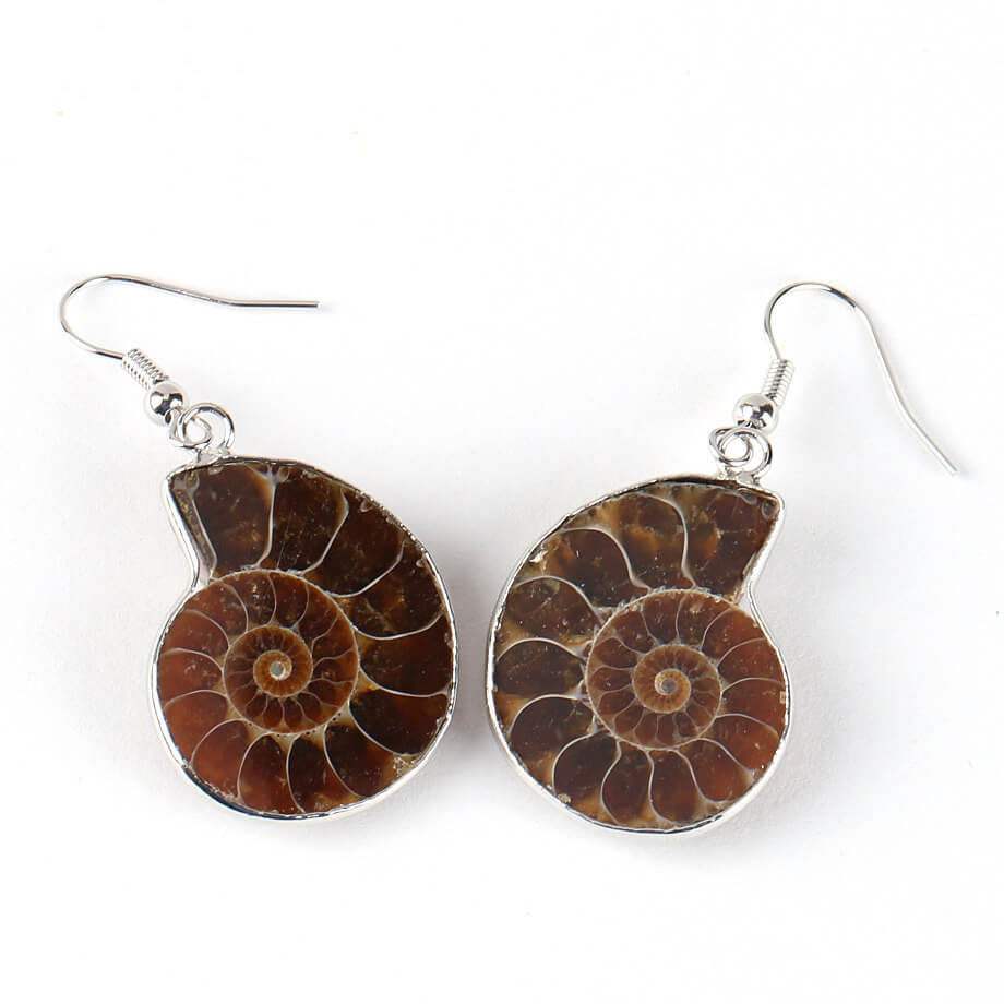 Fossil Conch Creative Beach Earrings