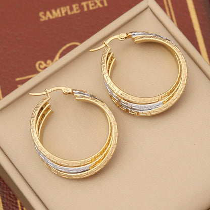 Stainless Steel Double Hoop Earrings