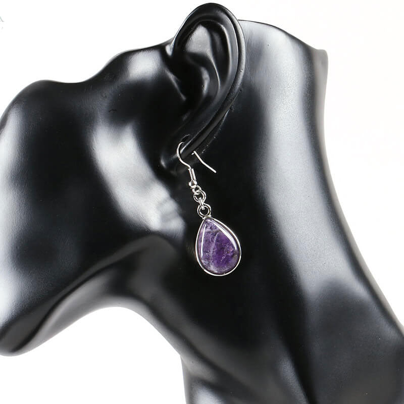 Drop Style Fishhook Earrings for Women