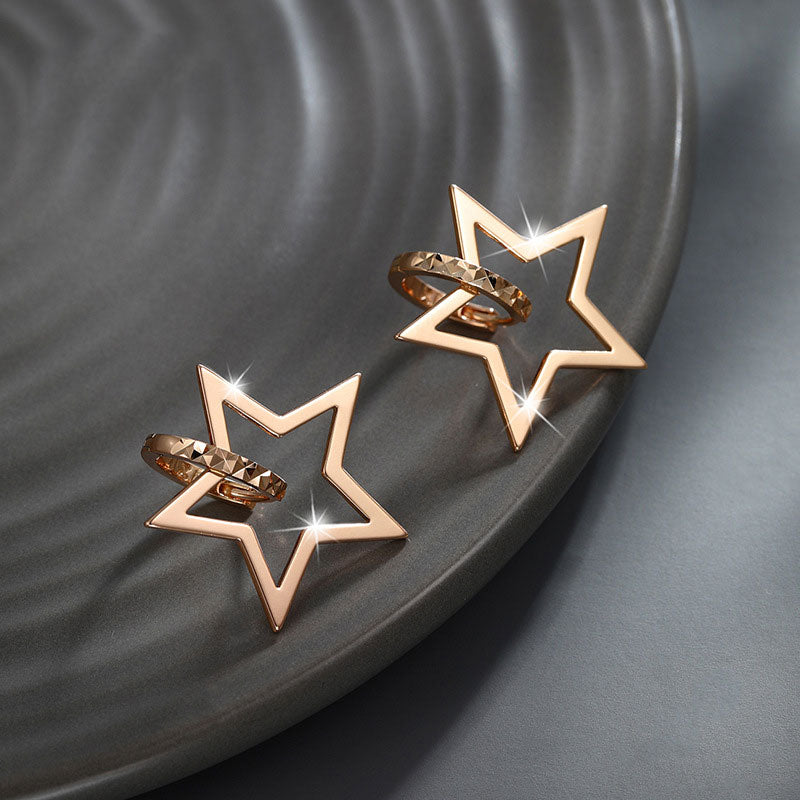 Fashion Star Simple, Compact, High-end and Elegant Earrings
