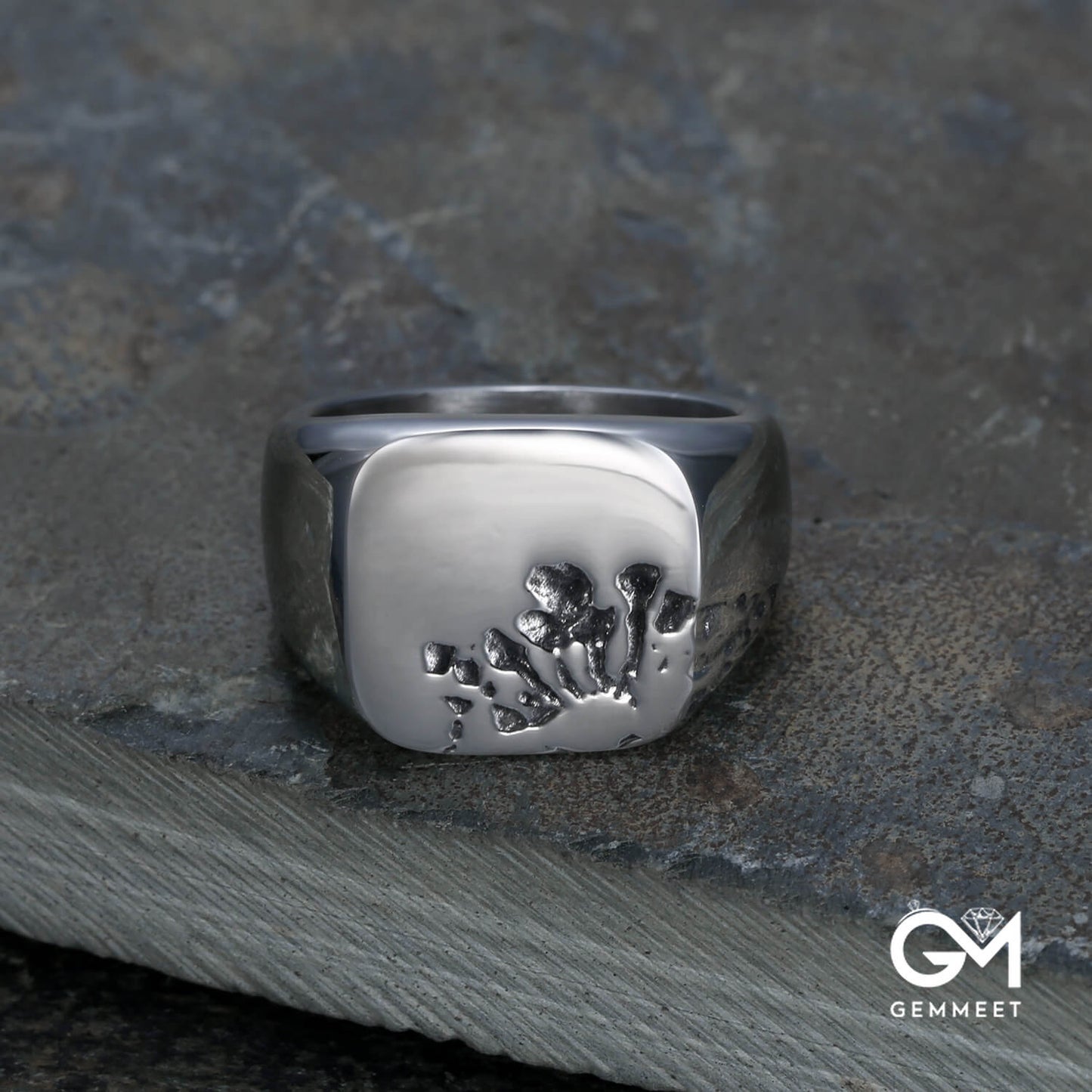 Titanium Steel Neutral Simple Polished Ring