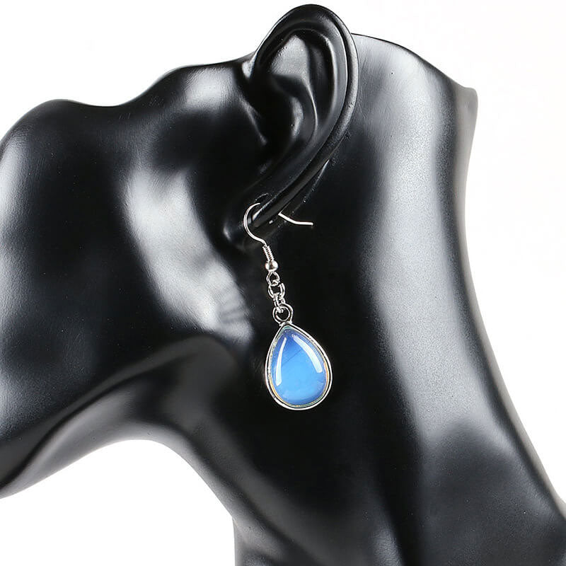 Drop Style Fishhook Earrings for Women