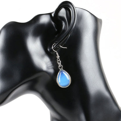 Drop Style Fishhook Earrings for Women