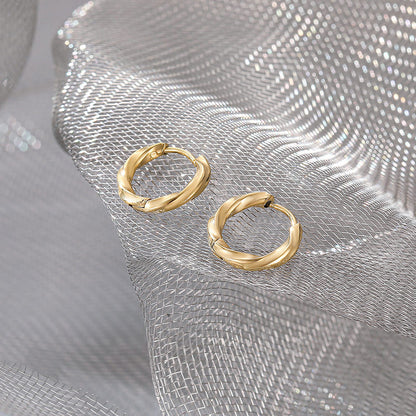 Titanium Steel Twist Hoop Earrings