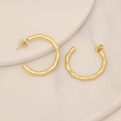 Simple Stainless Steel Geometric Stud Earrings