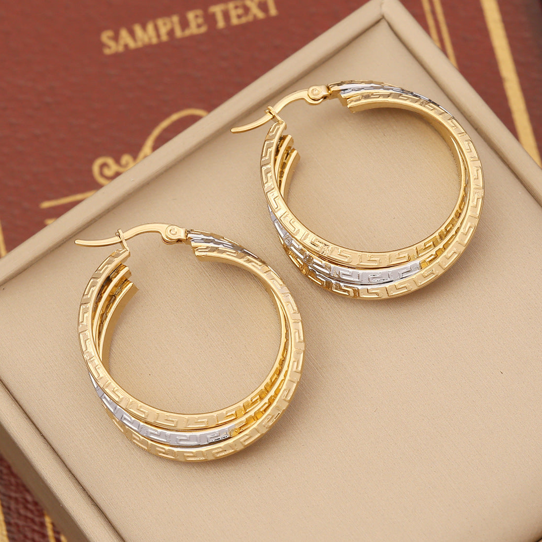 Stainless Steel Double Hoop Earrings