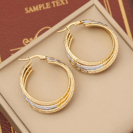 Stainless Steel Double Hoop Earrings