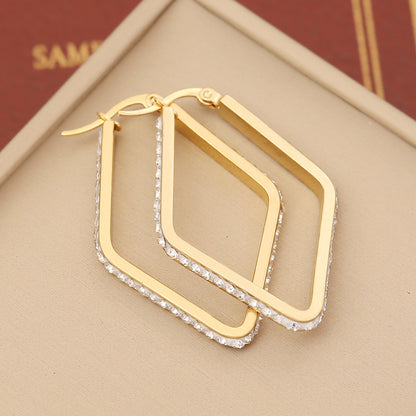 Stainless Steel Zircon Earrings