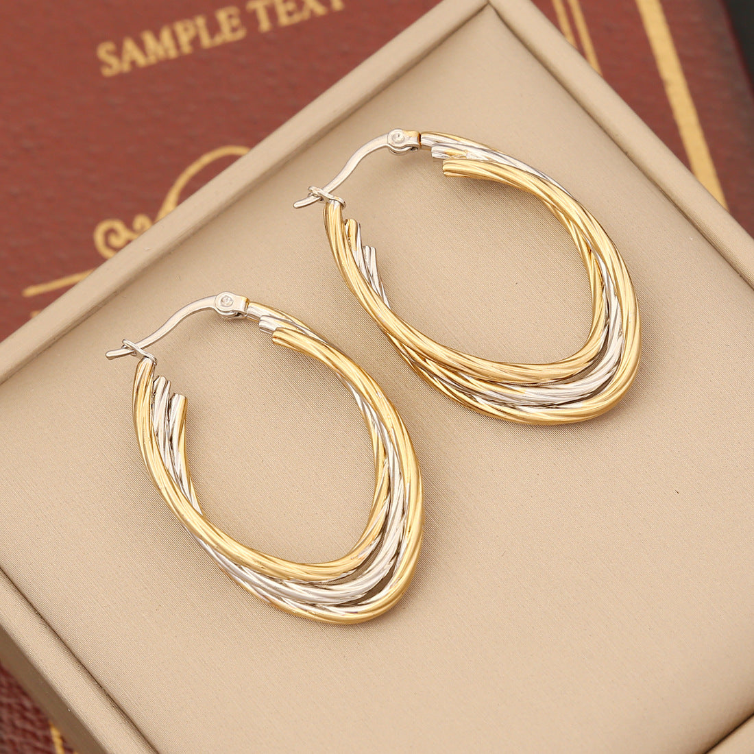 Stainless Steel Double Hoop Earrings
