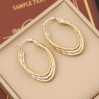 Stainless Steel Double Hoop Earrings
