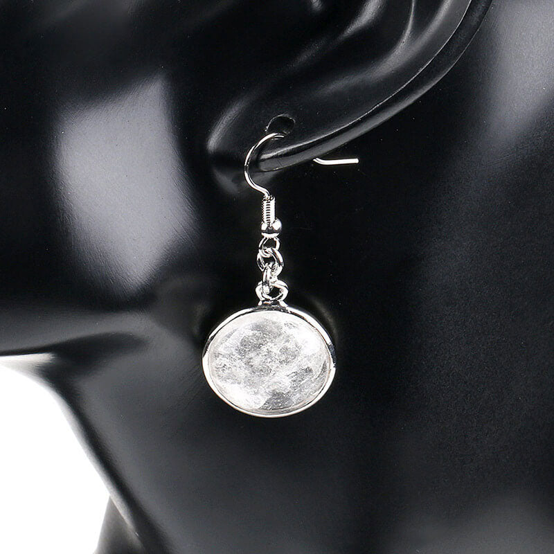 Simple Style Round Fishhook Earrings