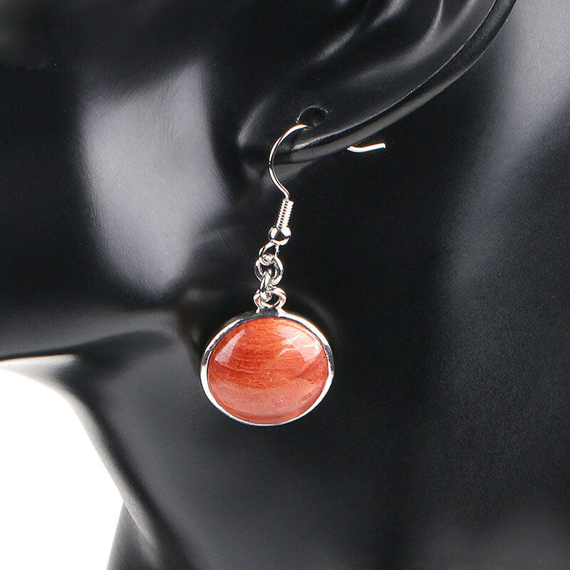 Simple Style Round Fishhook Earrings