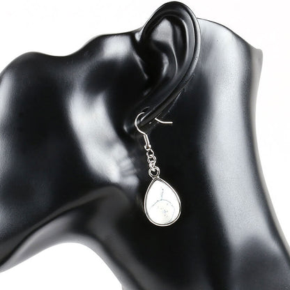 Drop Style Fishhook Earrings for Women