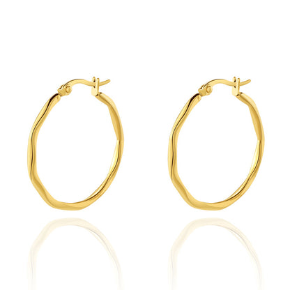 Stainless Steel Geometric Circle Earrings