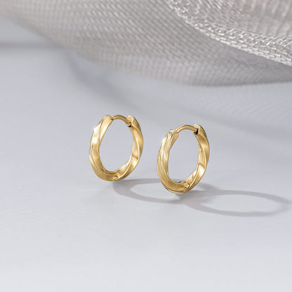 Titanium Steel Twist Hoop Earrings
