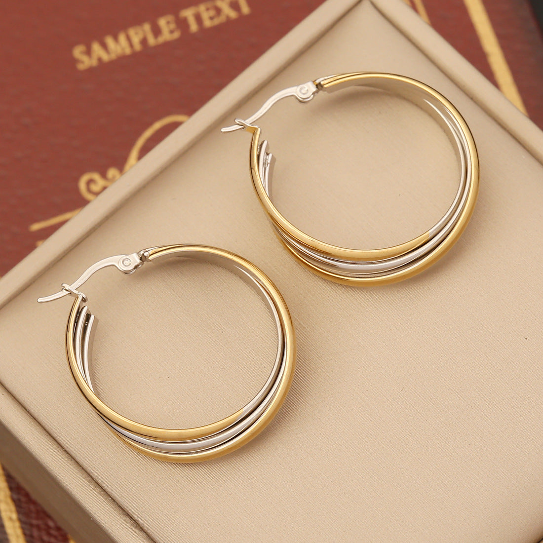 Stainless Steel Double Hoop Earrings