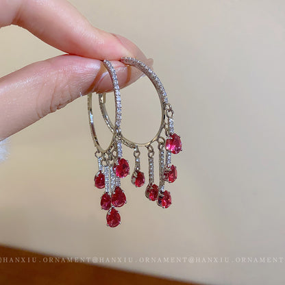 Silver Needle Zircon Drop Circle Earrings