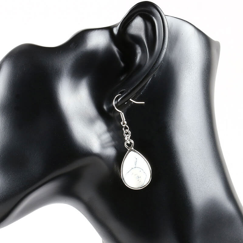 Drop Style Fishhook Earrings for Women