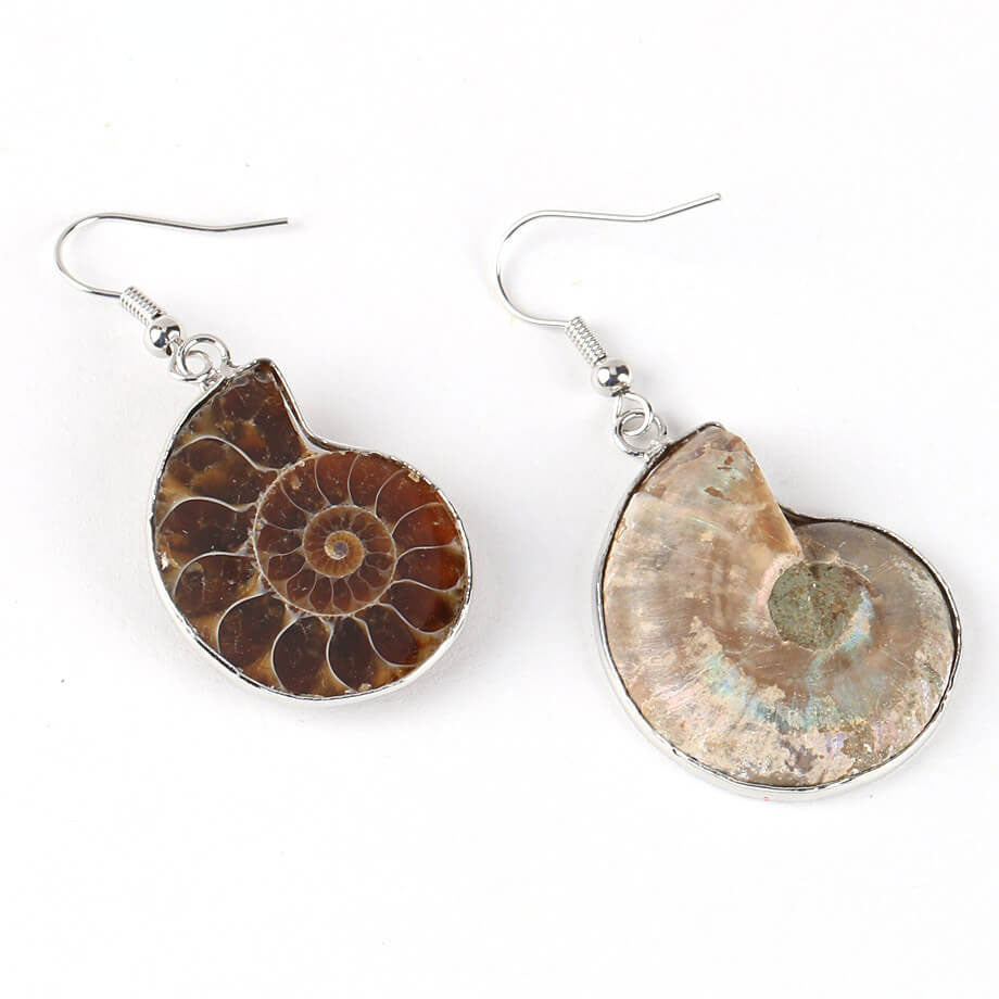 Fossil Conch Creative Beach Earrings