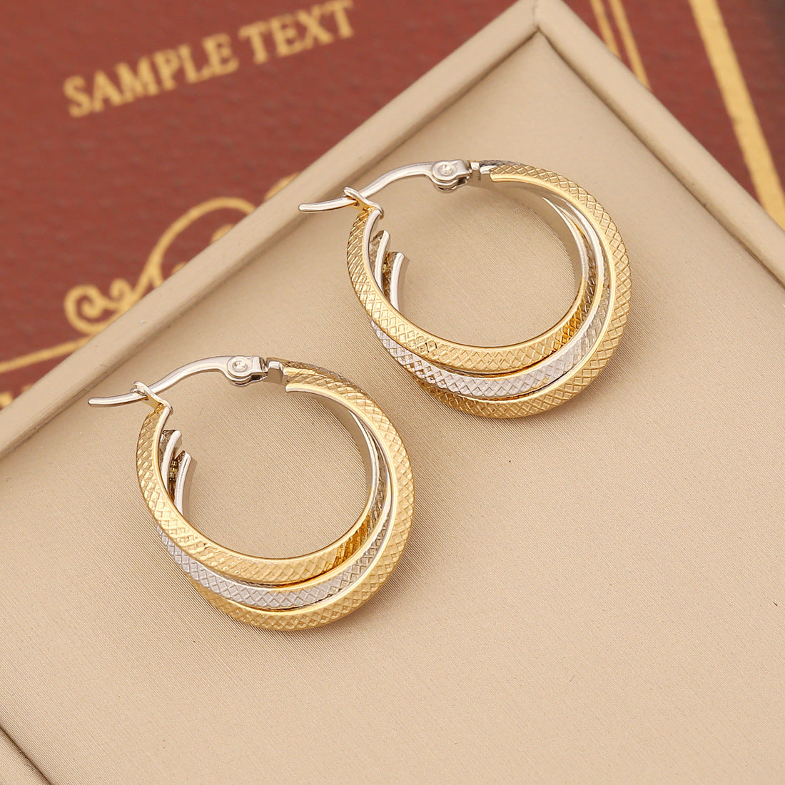 Stainless Steel Double Hoop Earrings