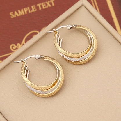 Stainless Steel Double Hoop Earrings